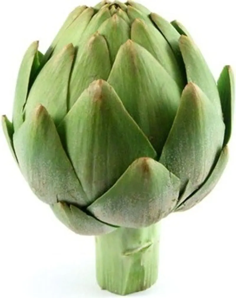 Castel Artichokes – 1 Pack, Ready-To-Cook Whole Artichokes (#122818) 1