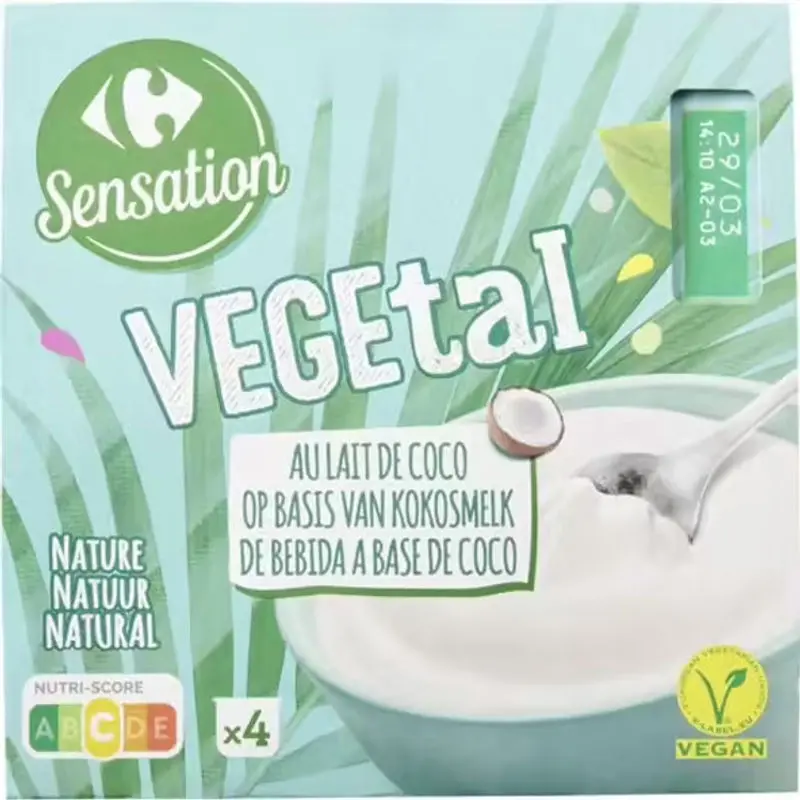 Coconut Milk Yogurt – 100G Dairy-Free, Tropical-Flavored Probiotic Snack 1