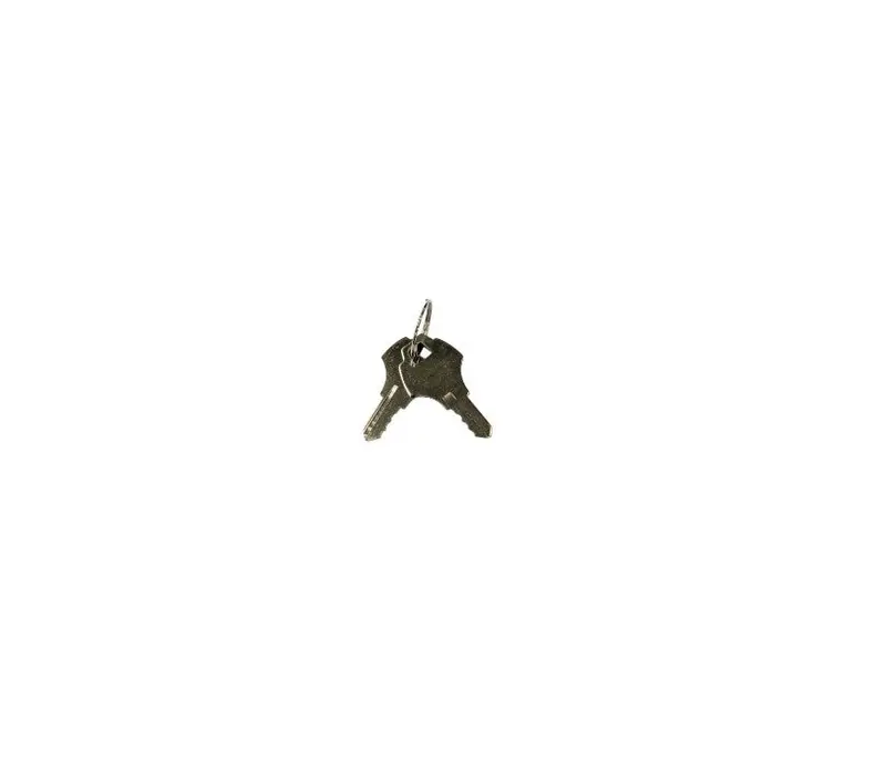 Delta Heat Dhor20 Refrigerator Access Key Set - Model 19907 1