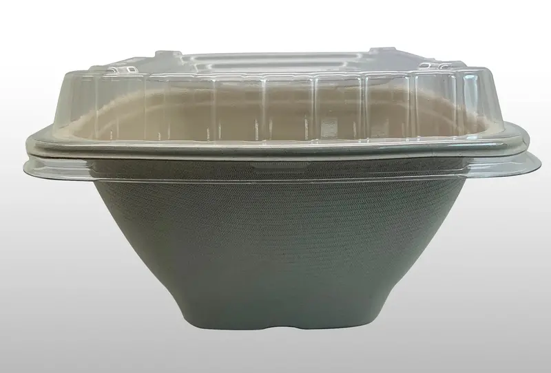 Eccocane Esb16 – 16 Oz Pfas-Free Bagasse Blend Square Bowl 1