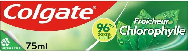 Fresh Chlorophyll Toothpaste – 75Ml 1