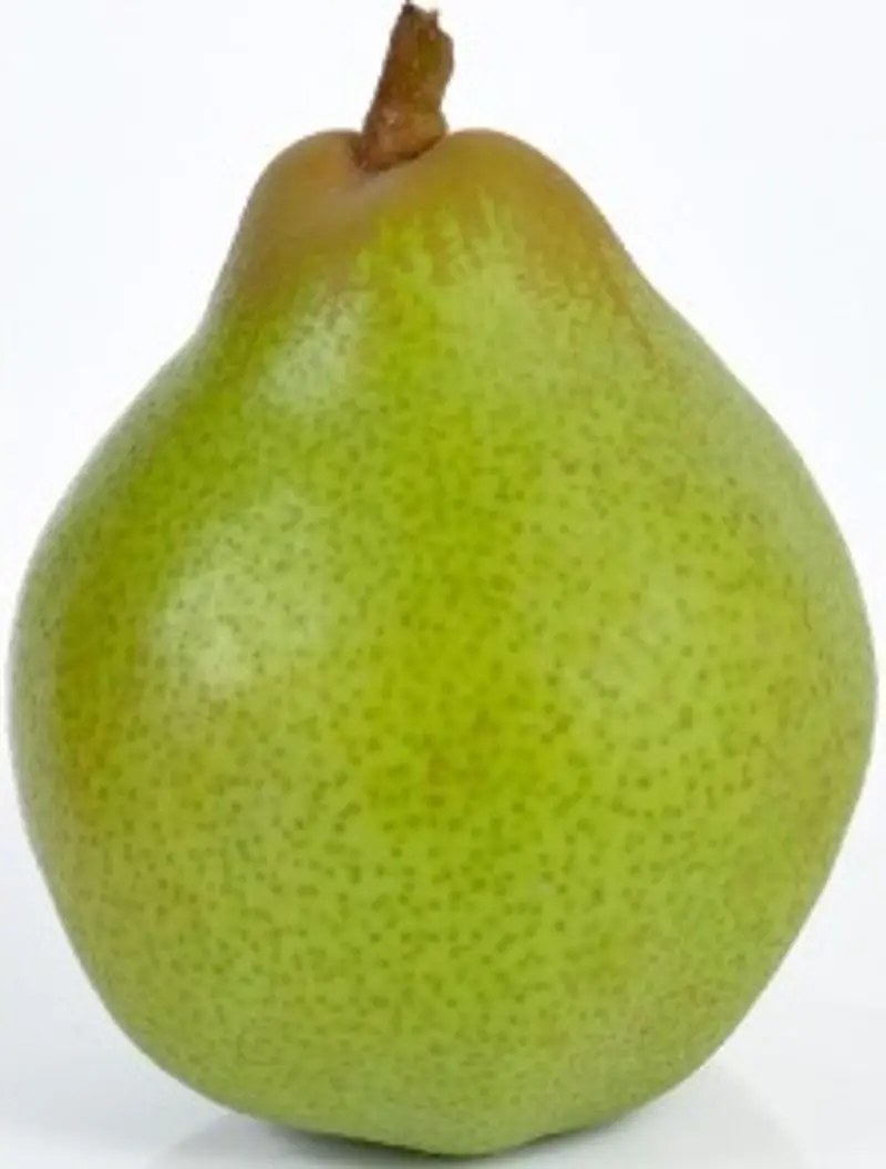 Green Comice Pears – Approx. 0.5Kg, Juicy & Fragrant (#122821) 1