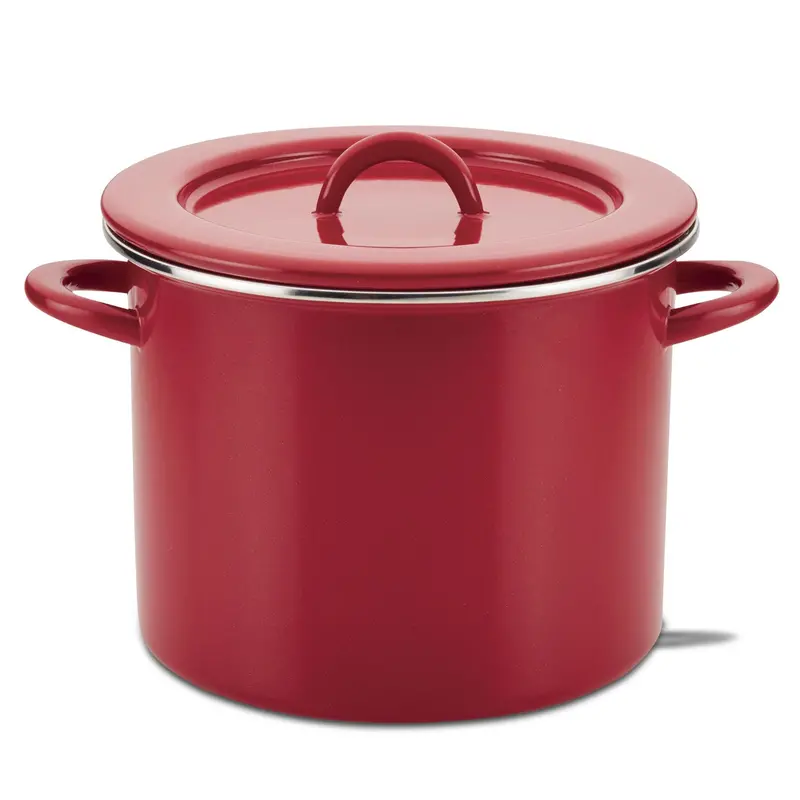 Heavy-Duty 12-Quart Enameled Induction Stockpot With Lid 1