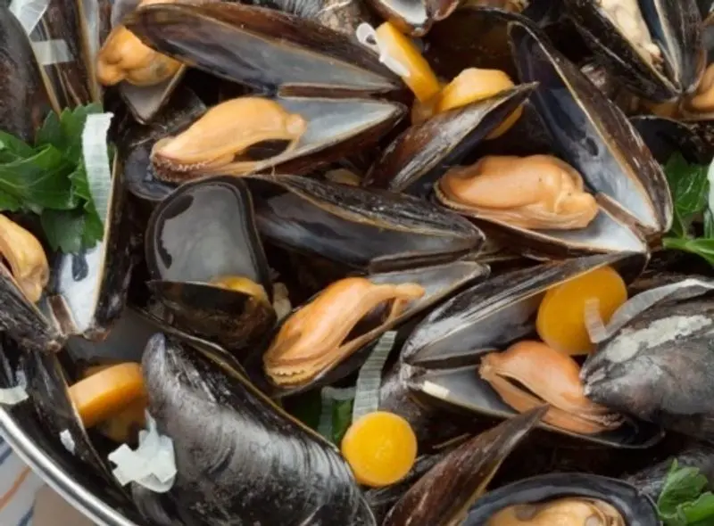 Holland Msc-Certified Mussels – 2 Kg Sustainably Harvested 1