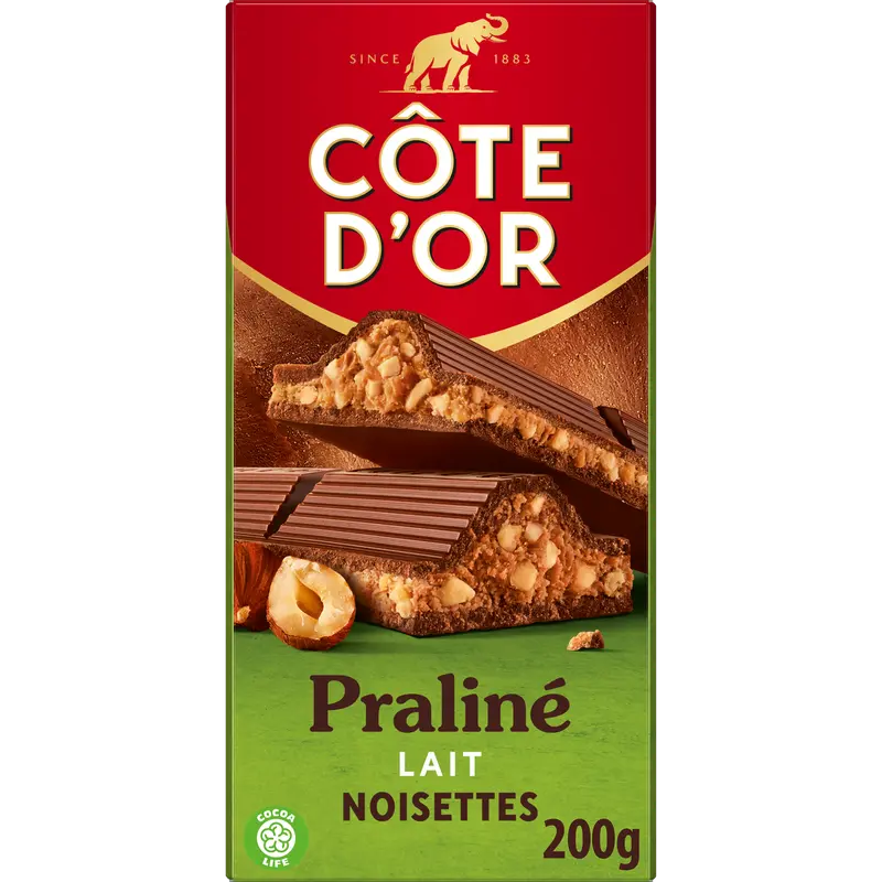 Milk Chocolate Praline Confectionery 1