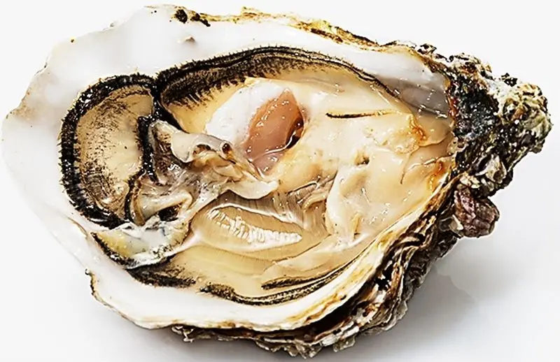 Muirgen No. 3 Oysters – Balanced Flavor Profile, 36 Count (Sku #122589) 1