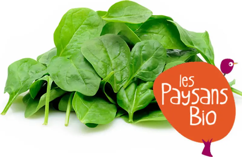 Organic Baby Lettuce Mix, Approx. 125G 1