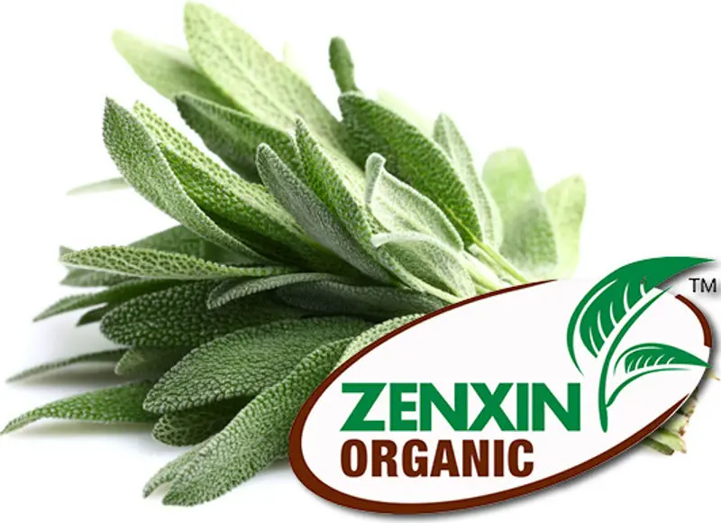 Organic Dried Sage – 15 G (Sku #125988) 1