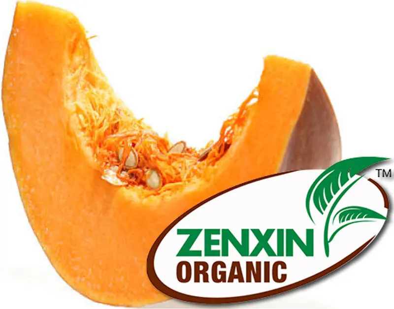 Organic Japanese Pumpkin, 300G – Creamy, Nutty Winter Squash 1