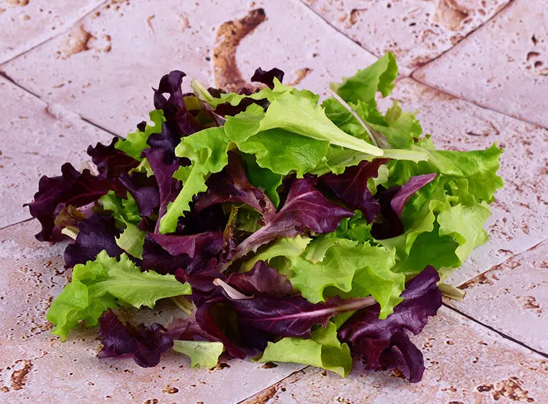 Organic Mixed Leaf Salad – Fresh, Ready-To-Eat, 125G (#125963) 1