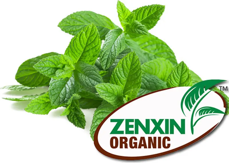 Organic Peppermint Leaves – 15G 1