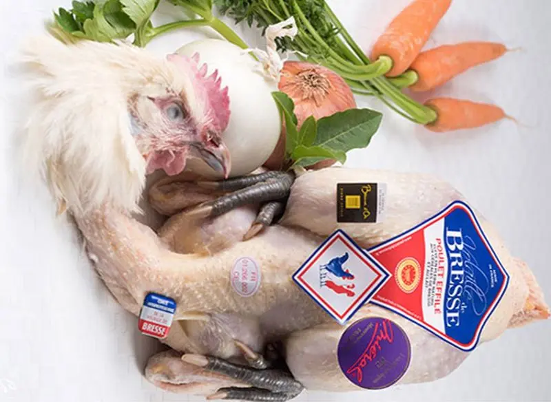 Pdo Bresse Poulet – Young Female Chicken, ~1.3Kg (#122646) 1