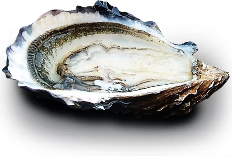 Special Cancale Oysters No. 4 – Briny & Refined, 24 Count (Sku #122617) 1