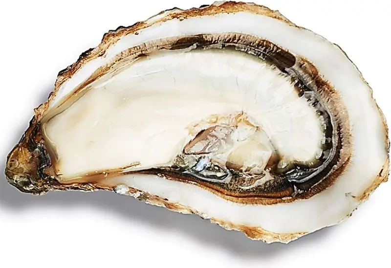 Special Claire Oysters No. 3 – Premium Selection, 96 Count (Sku #122598) 1