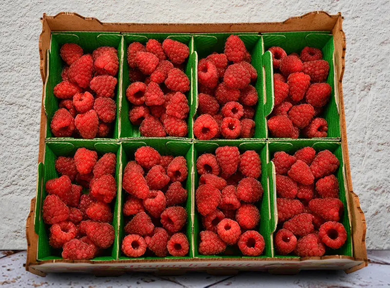 Tulameen Raspberries – 100 G Premium Canadian Variety 1
